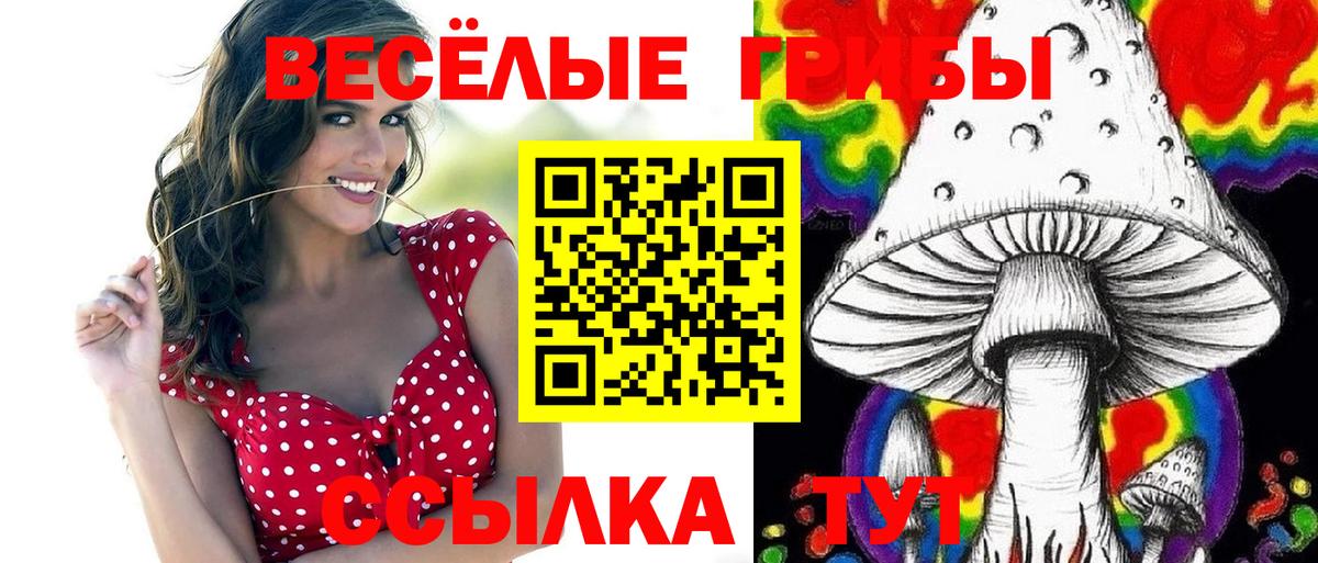 Коркино  Псилоцибиновые грибы ЛСД  Псилоцибиновые грибы мухоморы  Вход с VPN 
